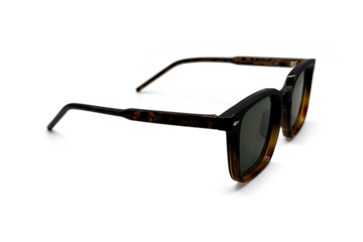 OBE 002 Black Tortoise sunglasses, side view